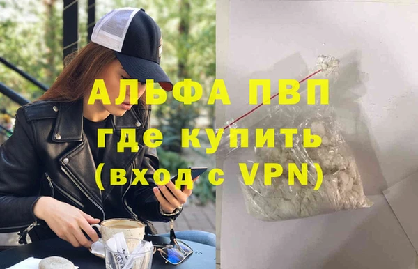 СК Новокубанск