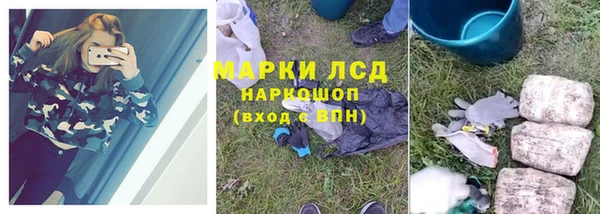 дурь Няндома