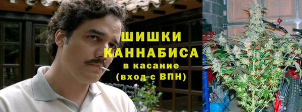 дурь Няндома