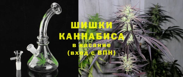 дурь Няндома