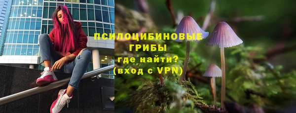дурь Няндома