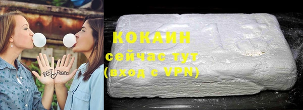 дурь Няндома