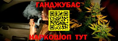 сатива Апшеронск