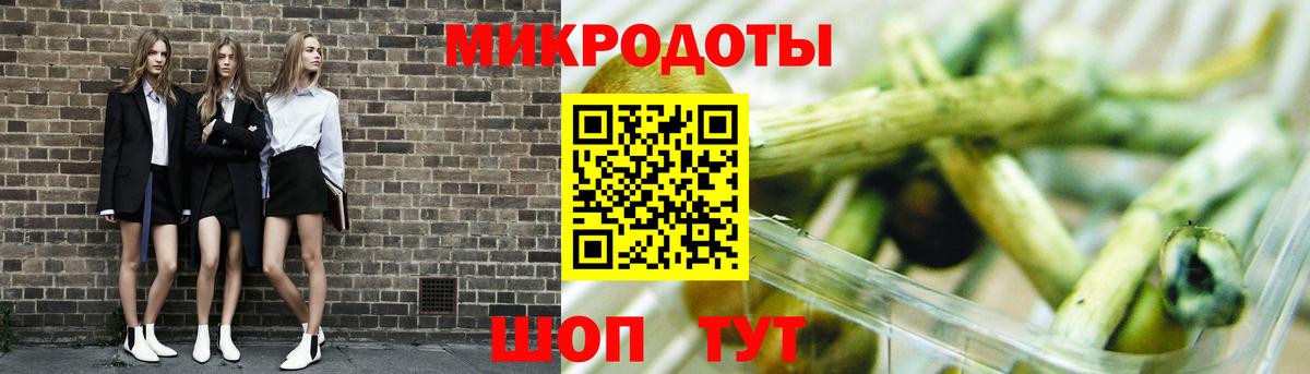 Псилоцибиновые грибы прущие грибы  Великие Луки  Галлюциногенные грибы GOLDEN TEACHER 