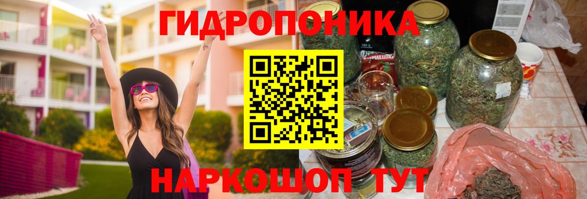 Бошки Шишки THC 21% Великие Луки